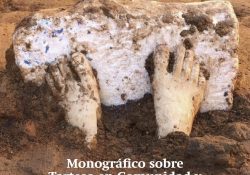 Edición monográfica de El Carro dedicada al proyecto Tarteso en Comunidad y al yacimiento Casas del Turuñuelo